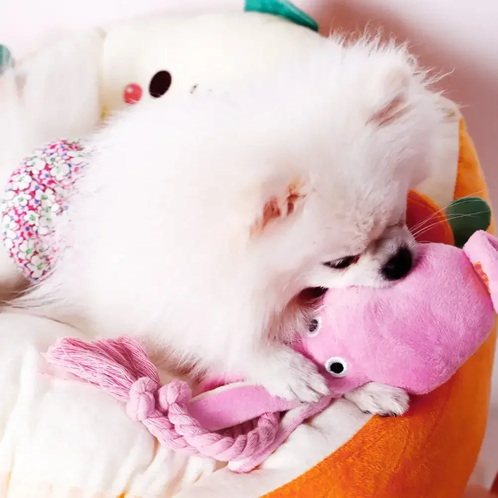 Brinquedo de Pelúcia Polvo para Cães Pequenos com Som e Corda - Imagem 3
