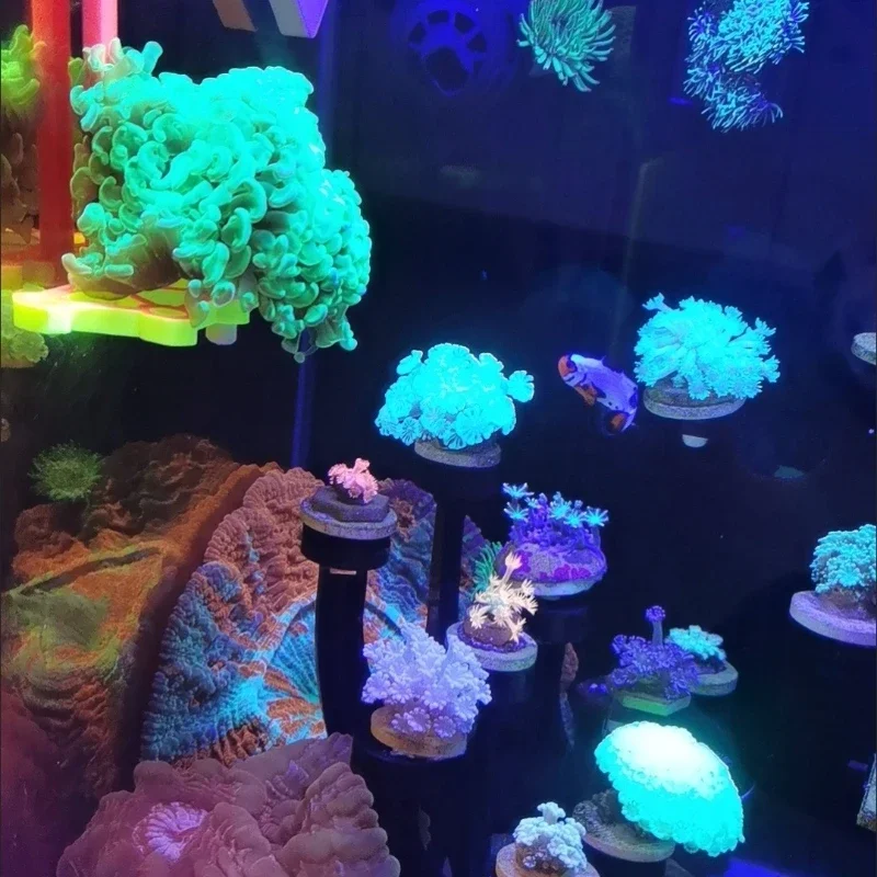 Suporte de Coral para Aquário com Gancho para Vidro de 4-15 mm - Imagem 3