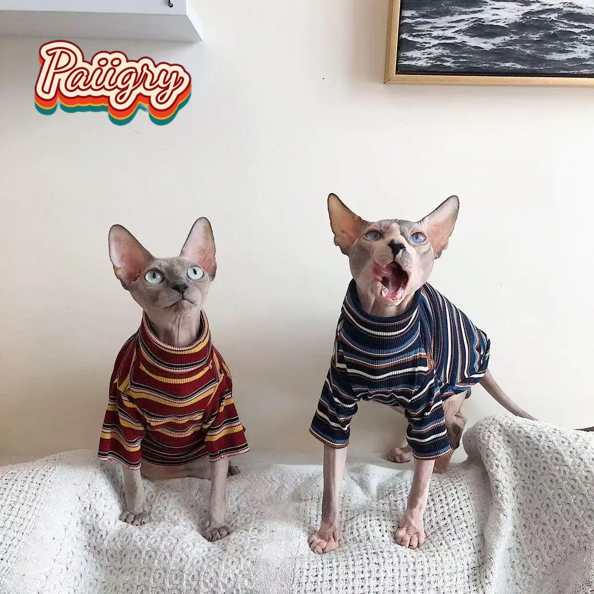 Camiseta para Gatos Manga Curta Estilo Retrô - Imagem 5