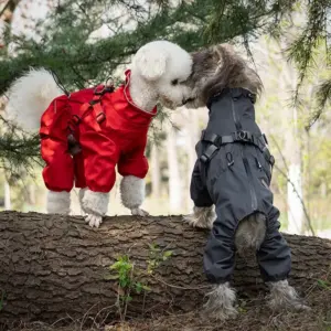 capa de chuva para cães ajustável
