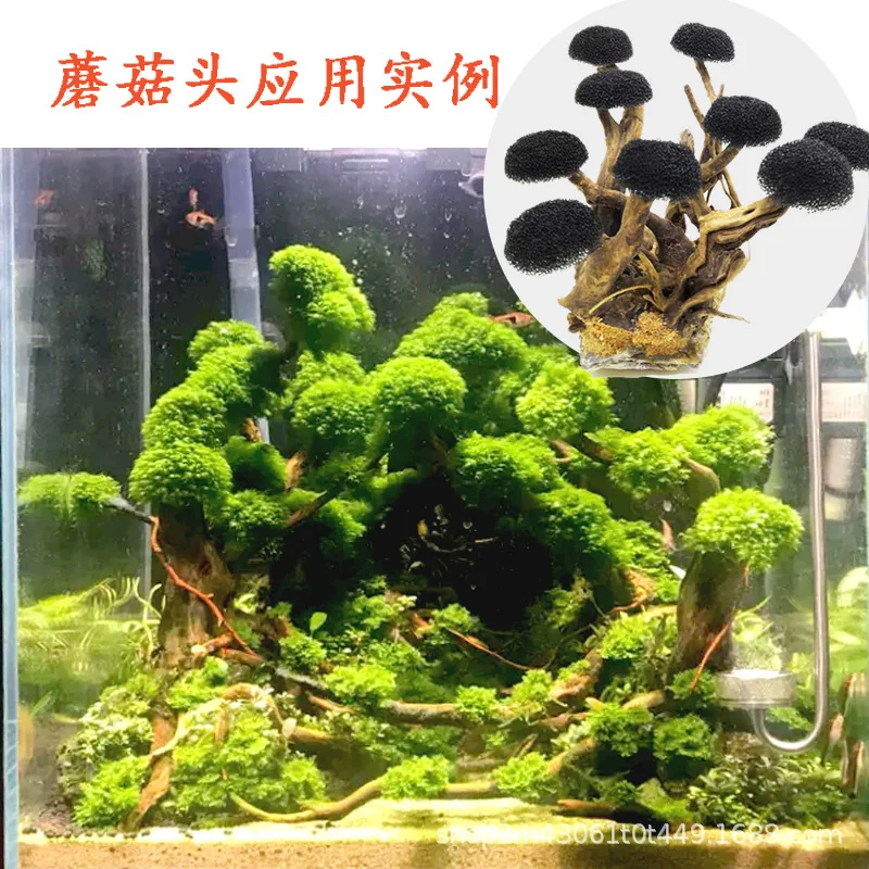 Malha de Aço Inoxidável para Aquário 5x5 cm para Musgo - Imagem 6