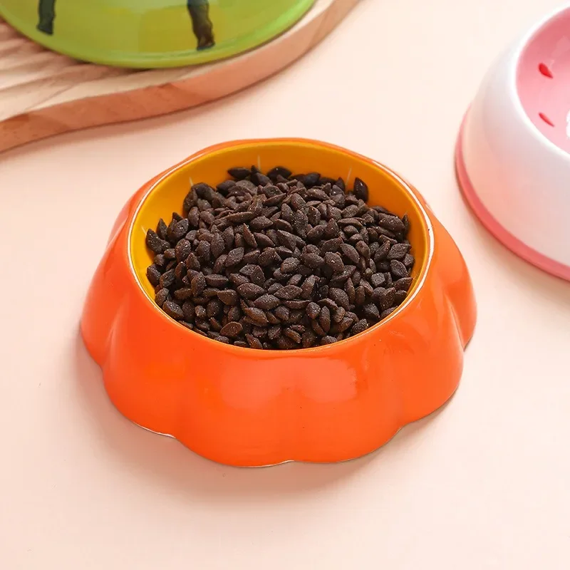 Kit 4 Tigelas de Cerâmica para Cães Pequenos e Gatos Coloridas - Imagem 5