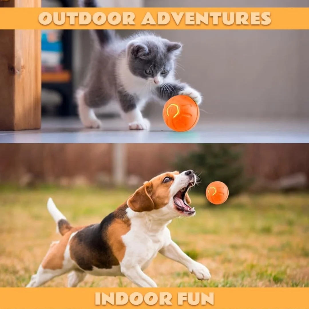 Bola Elétrica por Gravidade para Cães e Gatos - Imagem 5