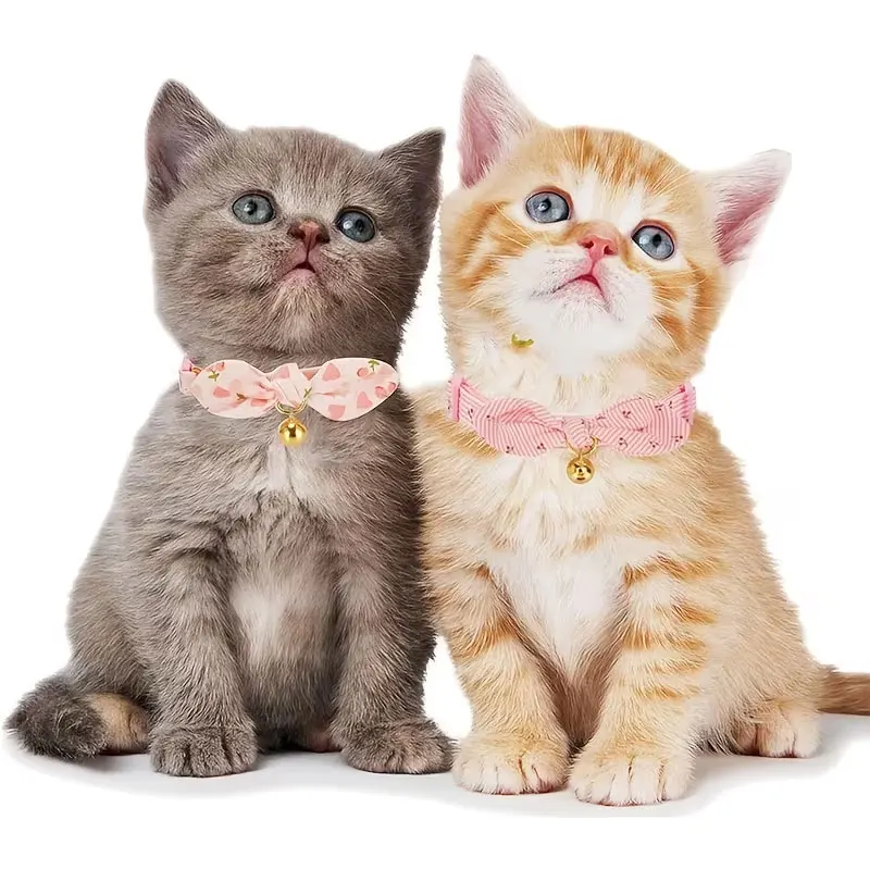 Coleira Ajustável para Cães e Gatos Pequenos Estilosa - Imagem 2