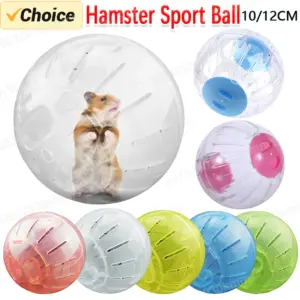 bola de exercício para hamster