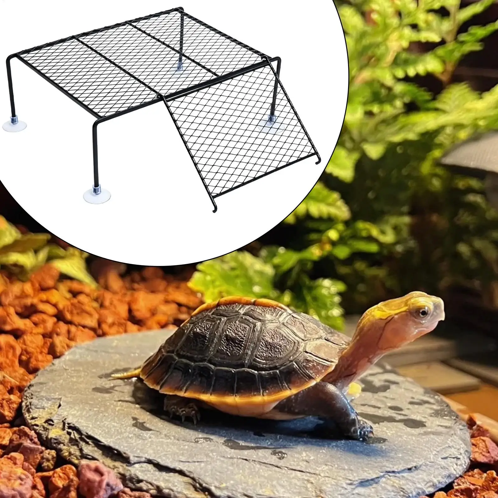 Plataforma de Descanso para Tartarugas com Ventosa e Rampa de Fácil Acesso - Image 3