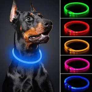 coleira luminosa usb para cães e gatos