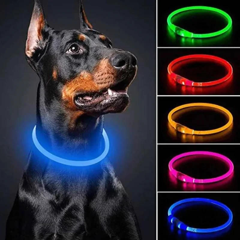 coleira luminosa usb para cães e gatos