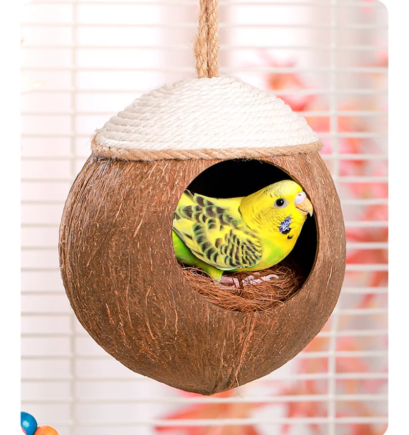 Casa de Coco para Hamster Natural Esconderijo Brinquedo - Imagem 5