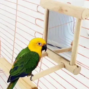 brinquedo de espelho com poleiro para pássaro