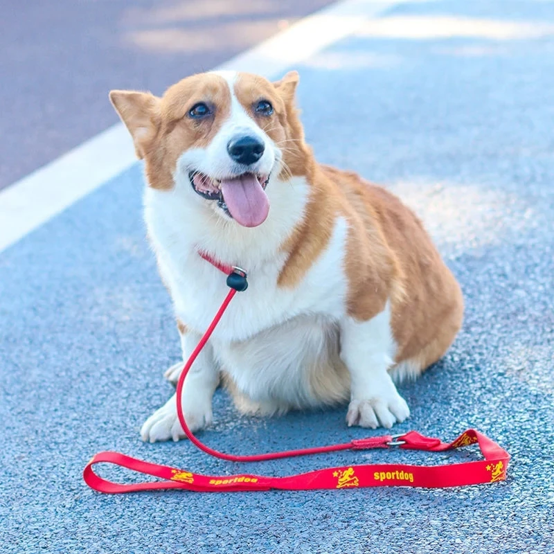 Corda de Treinamento para Cães Médios e Grandes Resistente - Imagem 3