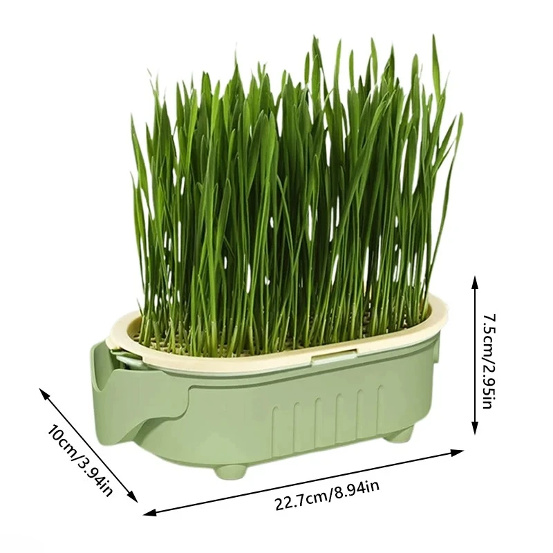 Kit Plantador de Grama Orgânica para Gatos com Tigela - Imagem 6