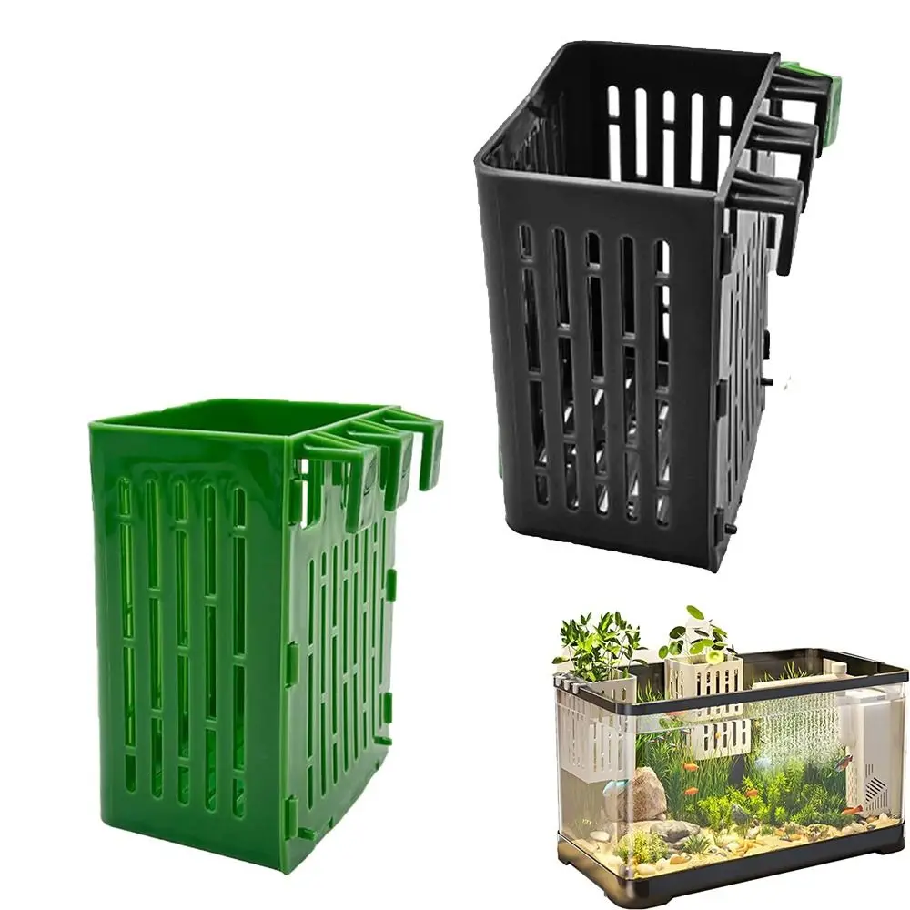 cesta para planta de aquário hidropônica