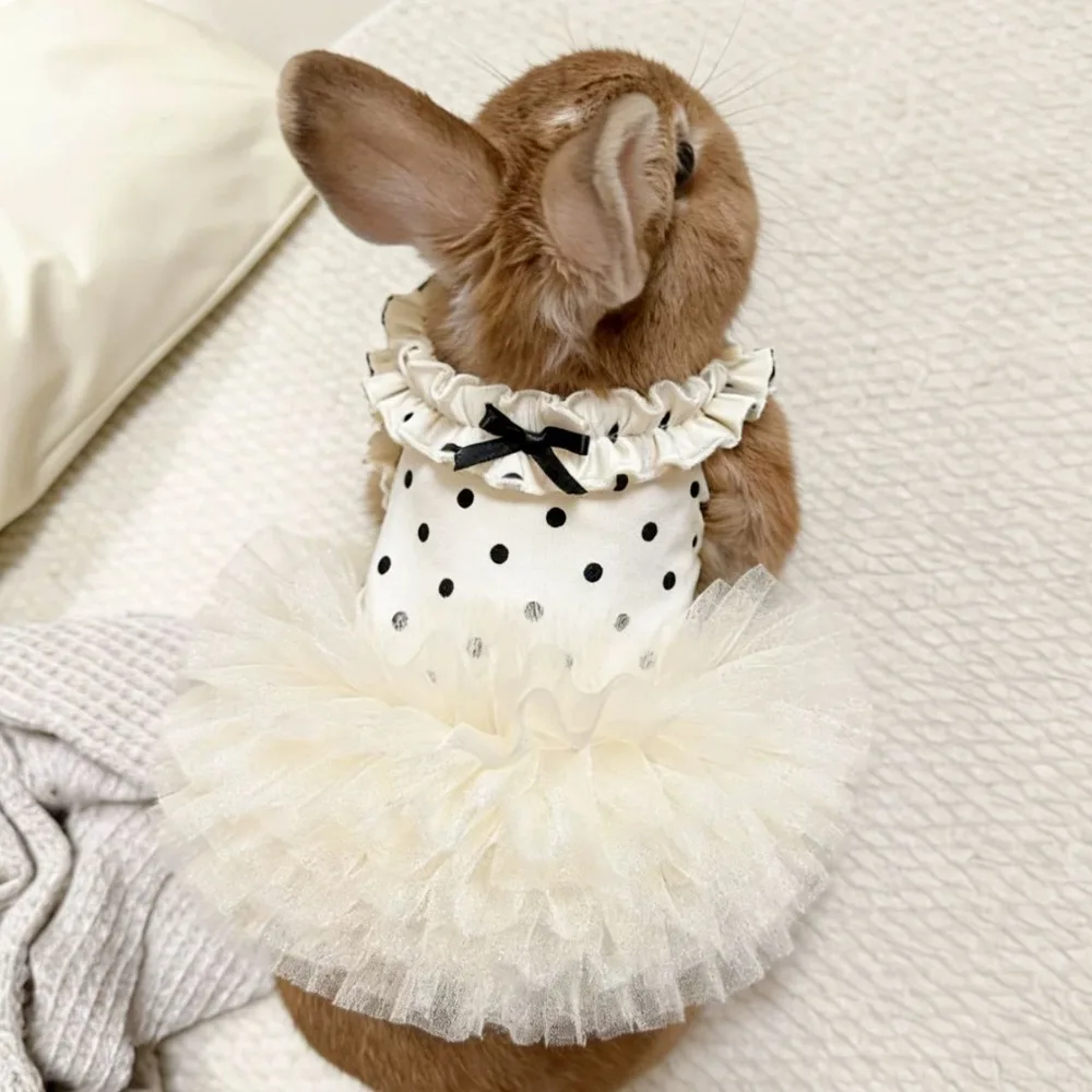 Vestido para Cães e Gatos Pequenos de Poliéster Respirável - Imagem 5