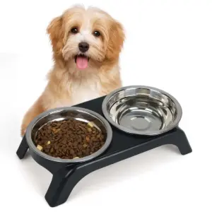 tigela elevada para cães e gatos