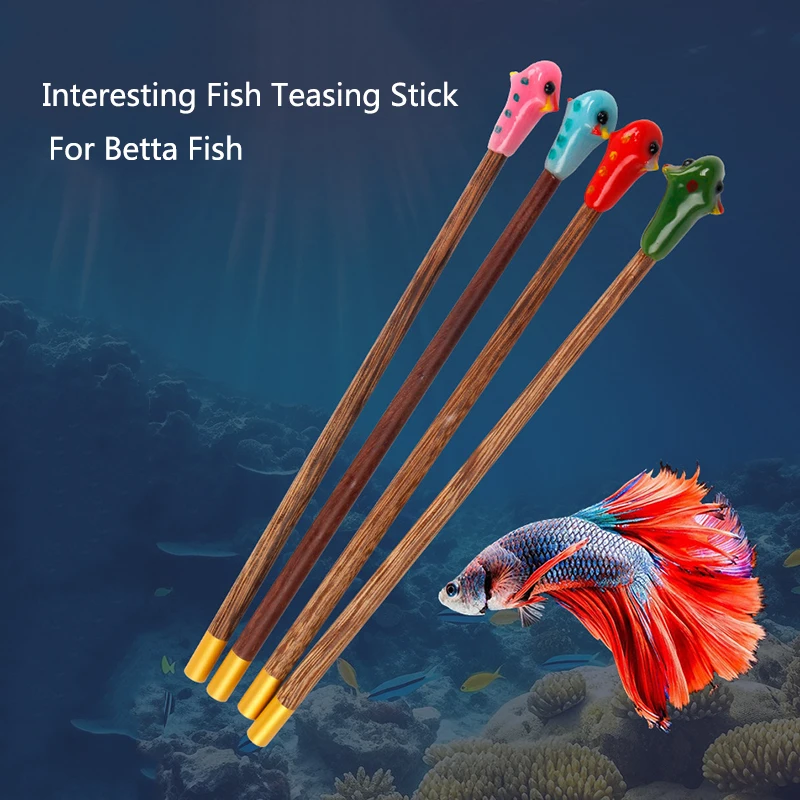 Varinha de Treinamento Betta para Aquário de Madeira 20 cm - Imagem 3
