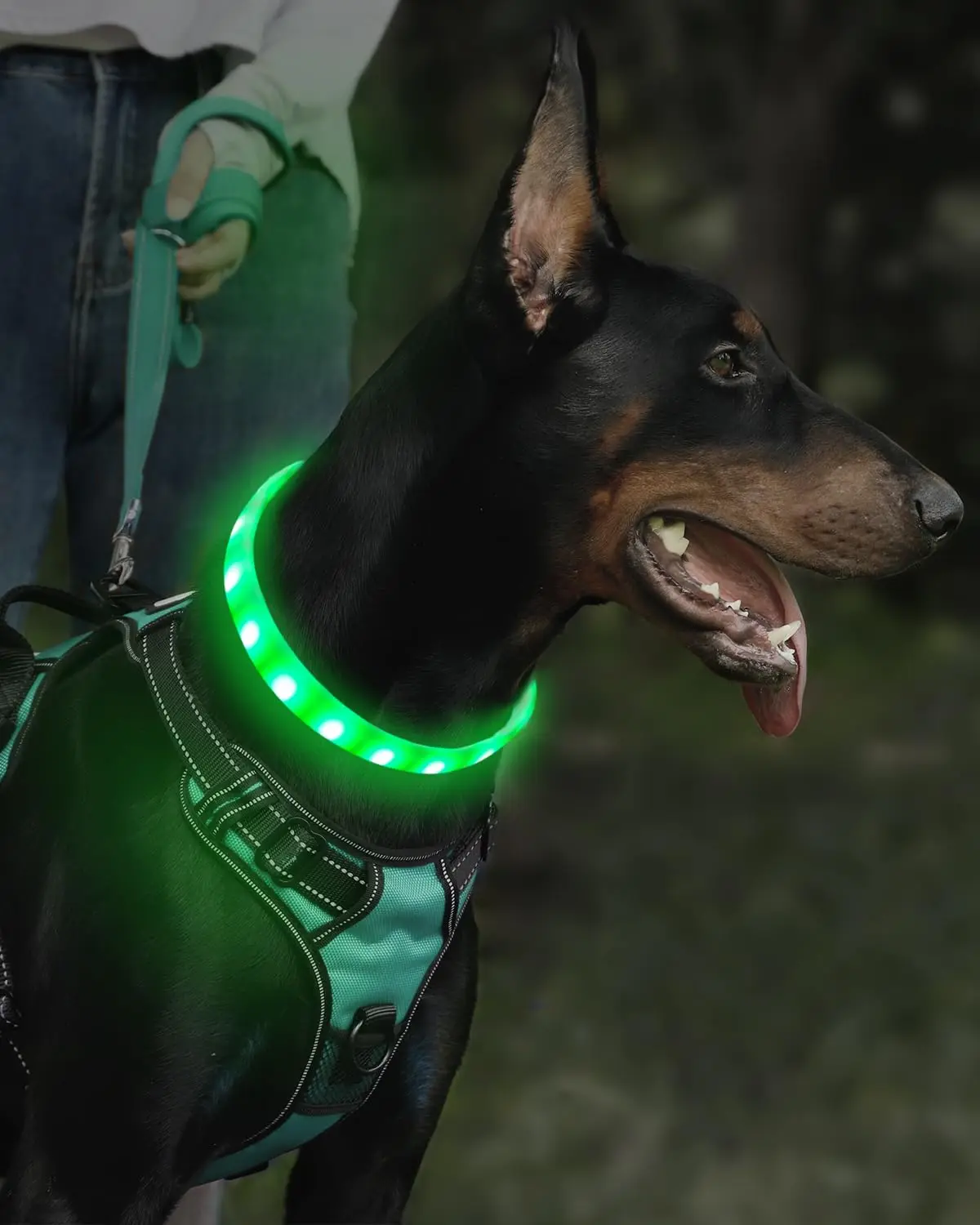 Coleira Recarregável USB para Cães com 9 Modos de Piscamento - Imagem 5