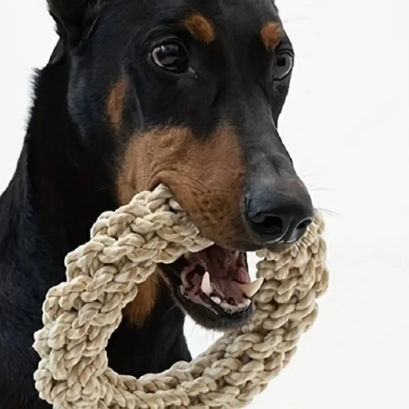 Brinquedo de Corda para Cães de Médio e Grande Porte em Madeira - Imagem 2