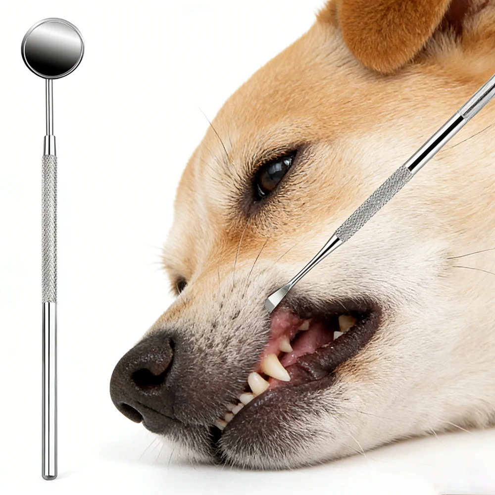 Kit Dental para Cães e Gatos de Aço Inoxidável Reutilizável - Image 4