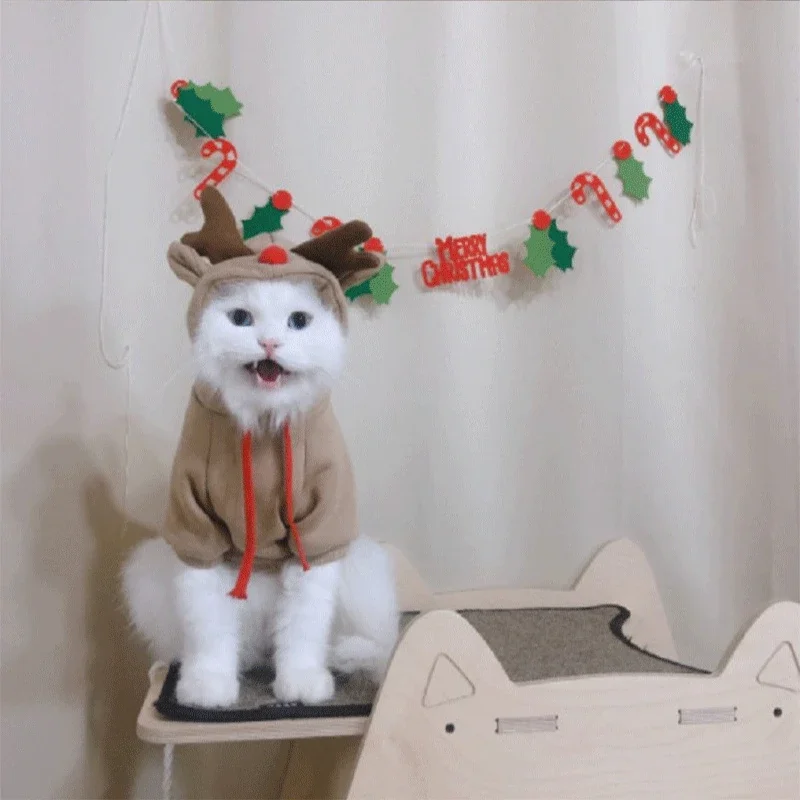 Moletom para Cães de Poliéster com Capuz para Inverno - Imagem 5