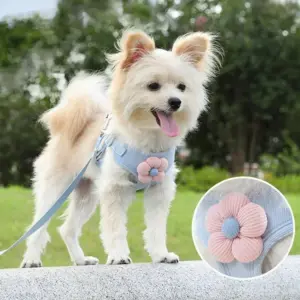 coleira peitoral para cães e gatos