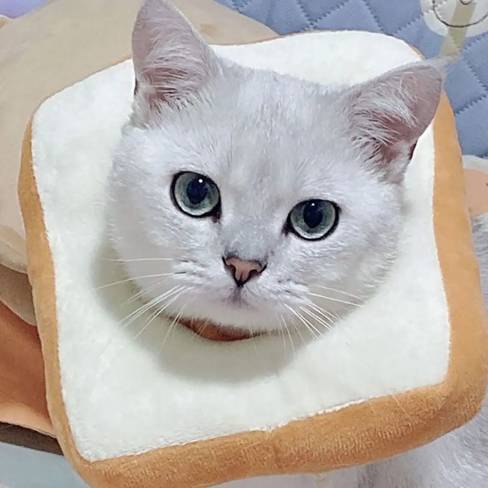 Colar Inflável Protetor para Gatos Anti-Lambedura com Ajuste no Pescoço - Imagem 2
