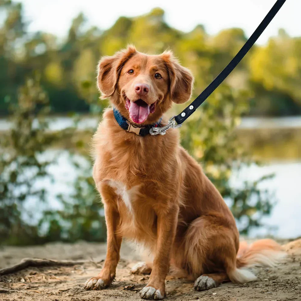 Guia para Cães de Couro PU 1,2 m com Gancho Liga para Passeio - Imagem 5