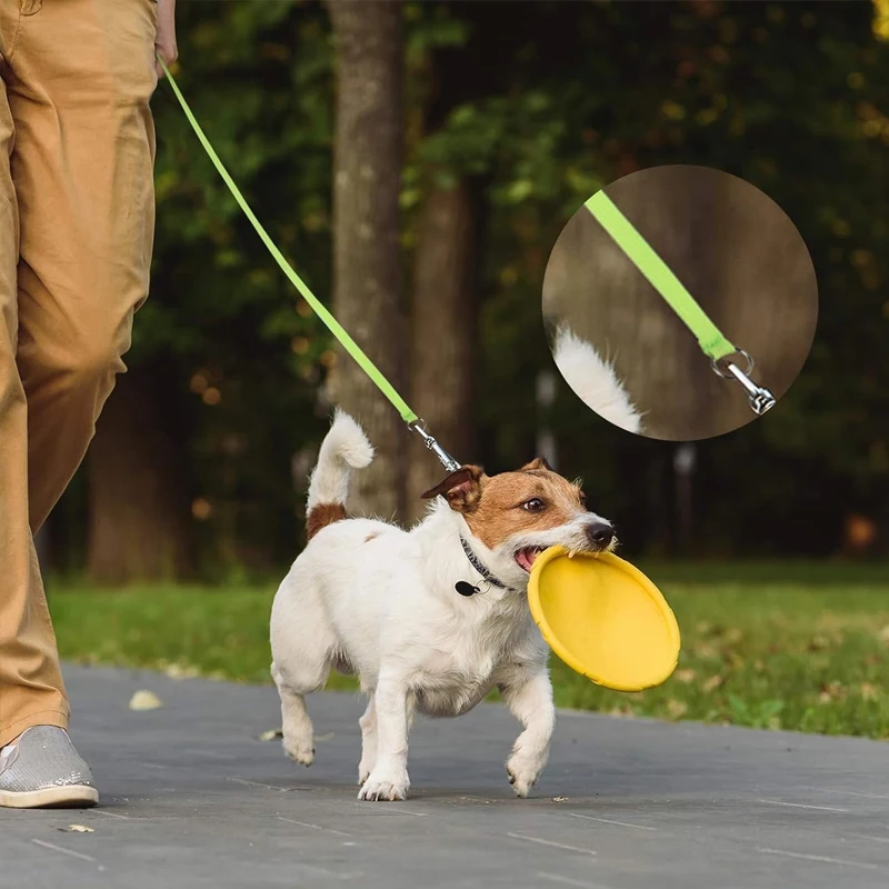 Trela de Nylon para Cães Extra Longa com 3m, 6m ou 10m para Passeio - Imagem 4