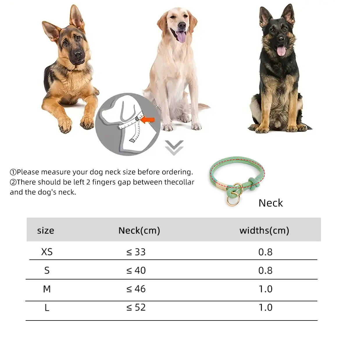 Coleira e Guia para Cães de Nylon com Estampa Listrada - Imagem 2