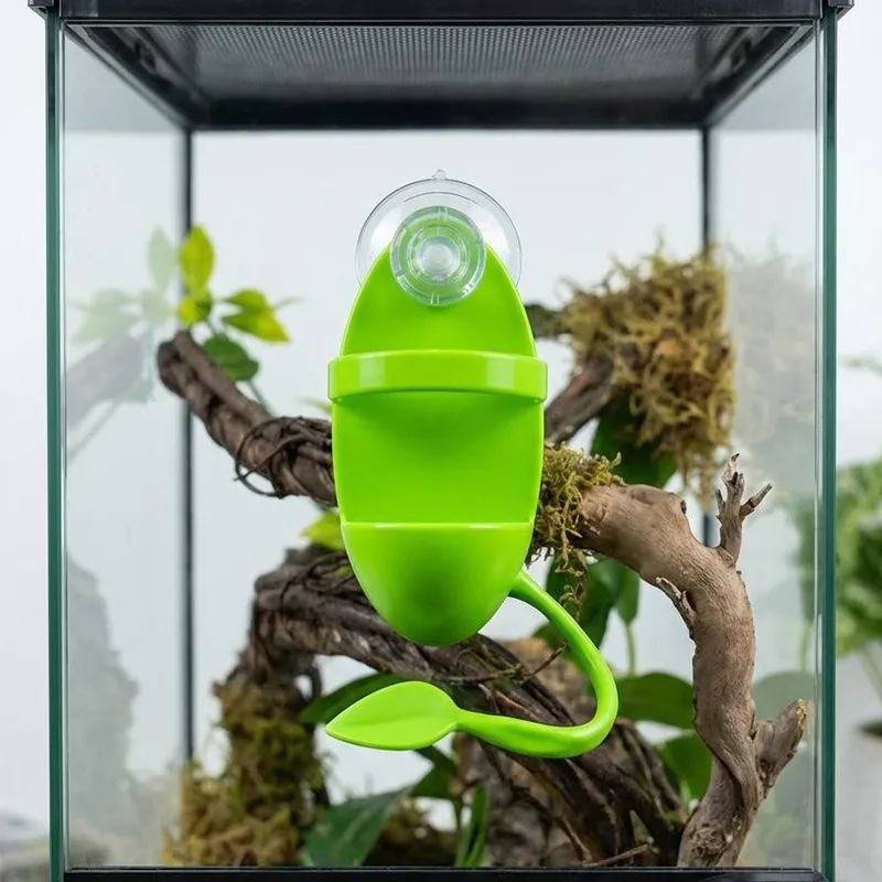 Prato Alimentador para Répteis com Ventosa Anti-Fuga para Terrário - Imagem 6