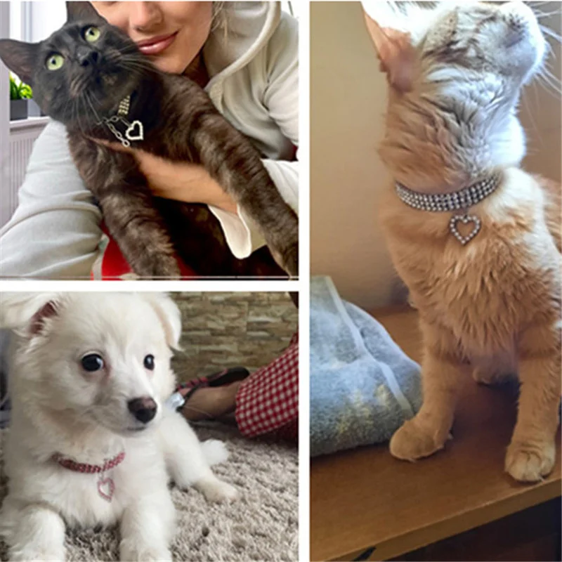 Coleira Elástica para Gatos e Cães com Strass e Corrente Ajustável - Imagem 4