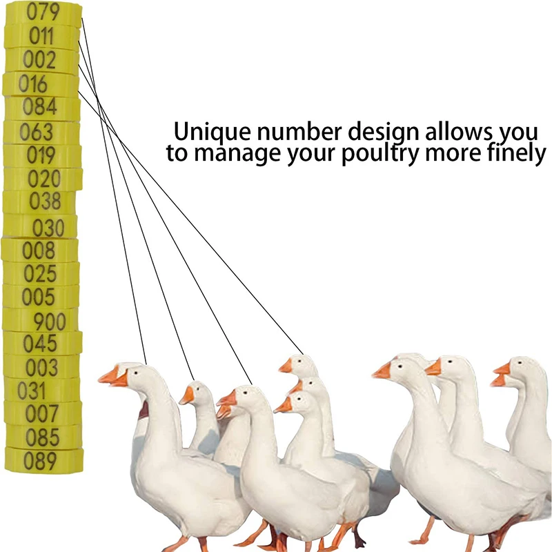 Anel de Identificação para Aves Ajustável com 6 Cores Vivas - Imagem 3