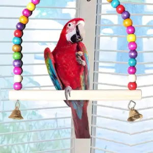 poleiro balanço para pássaros