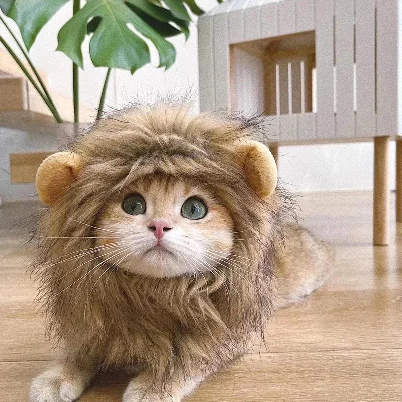 Chapéu Juba de Leão para Gatos e Cães Pequenos Cinza Claro - Imagem 5