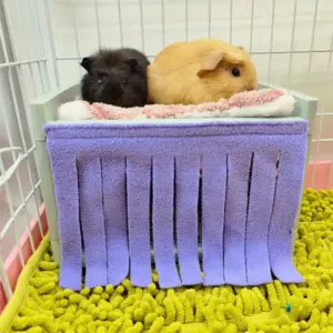 cortina para gaiola de hamster lavável
