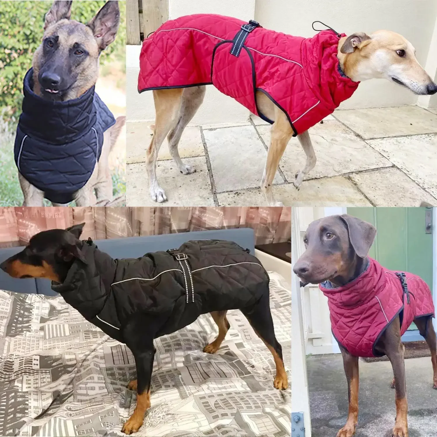 Jaqueta Impermeável Refletiva para Cães Médios e Grandes - Imagem 6