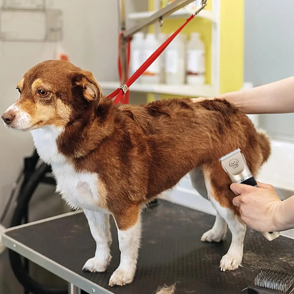 Aparador de Pelos Recarregável para Cães e Gatos com Lâmina de Cerâmica - Image 6