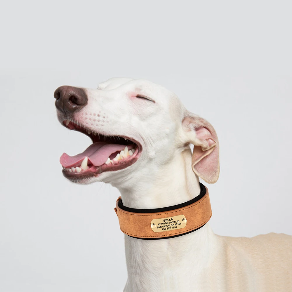 Coleira Personalizada para Cães Médios e Grandes de Couro PU - Image 5