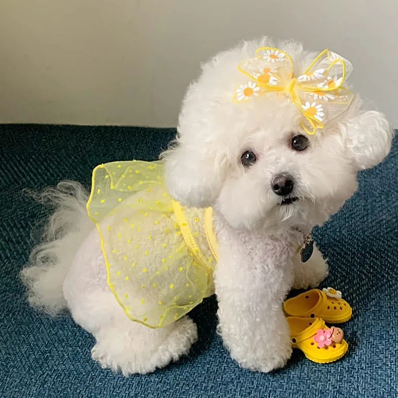 Vestido de Verão para Cães Pequenos e Gatos Fino e Respirável - Imagem 4