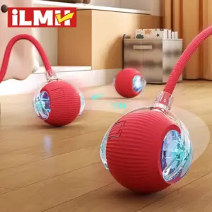 brinquedo interativo bola para gatos