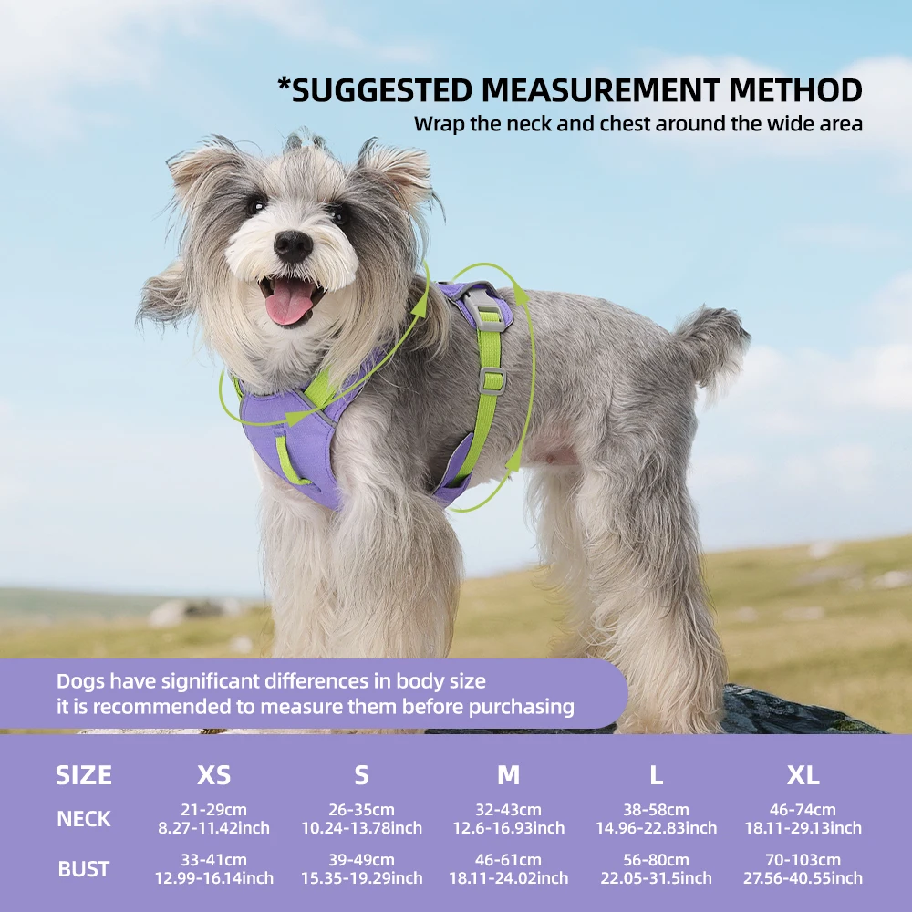 Arnês para Cães Pequenos com Listras Refletivas e Malha Respirável - Imagem 4