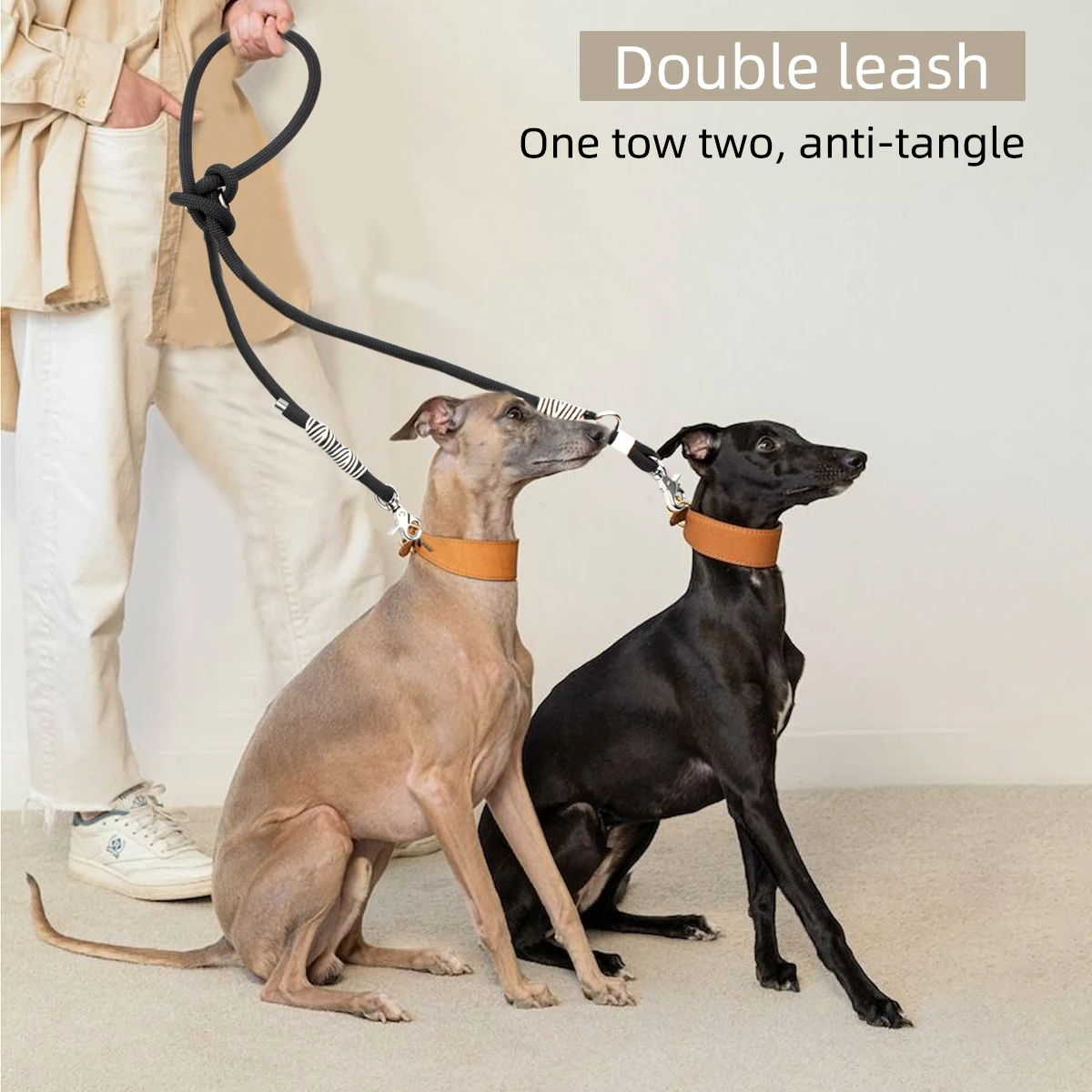Guia para Cães Grandes e Médios Trançada 2 m com Fivela Dupla - Image 4