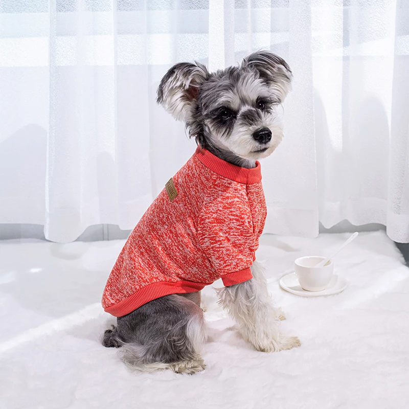 Moletom para Cães Pequenos de Poliéster para Inverno - Image 5