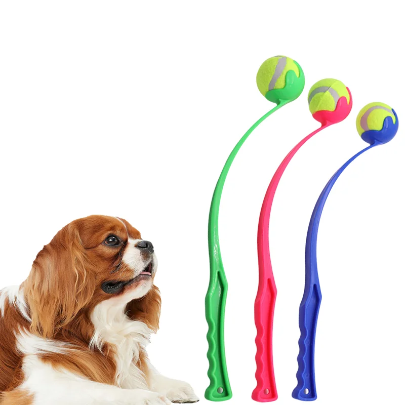 lançador de bolinhas para cães e gatos