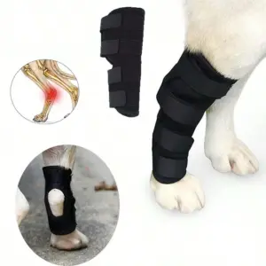 suporte de perna para cães