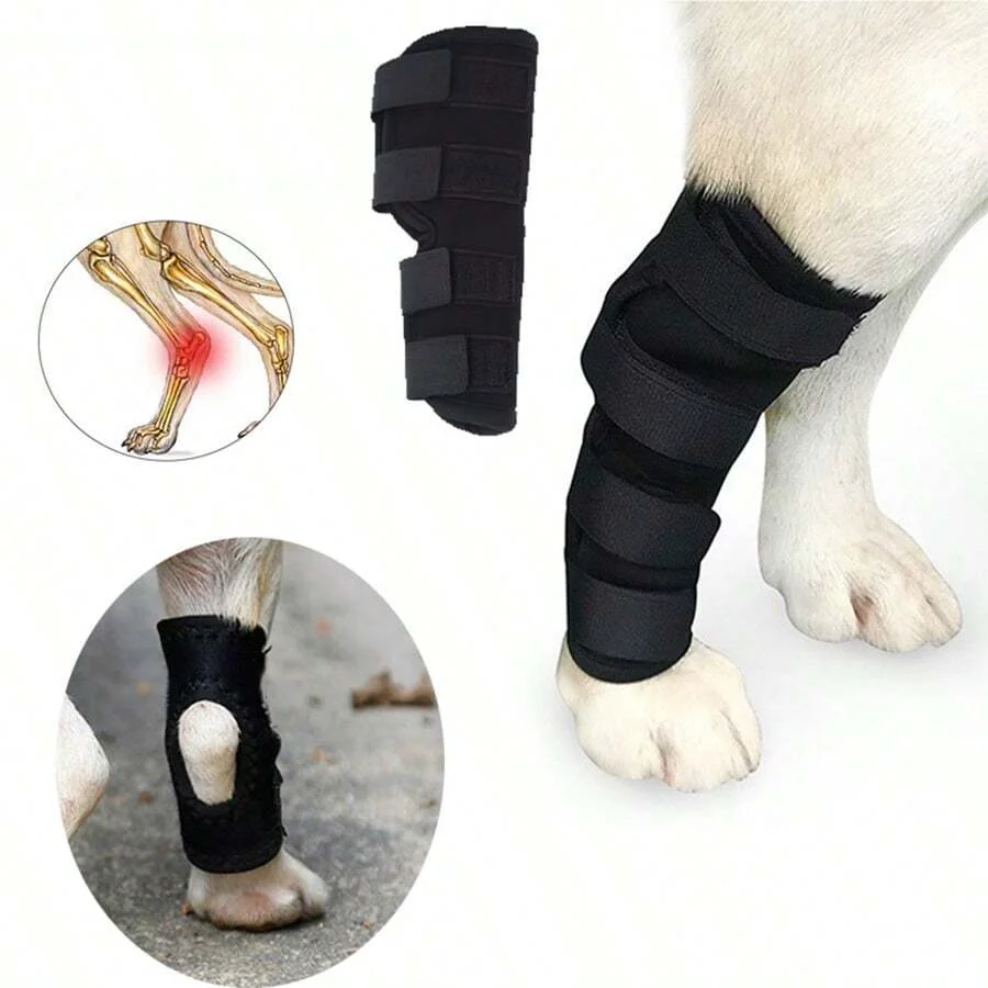 suporte de perna para cães