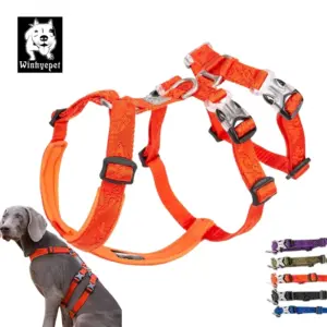 colete para cães ajustável