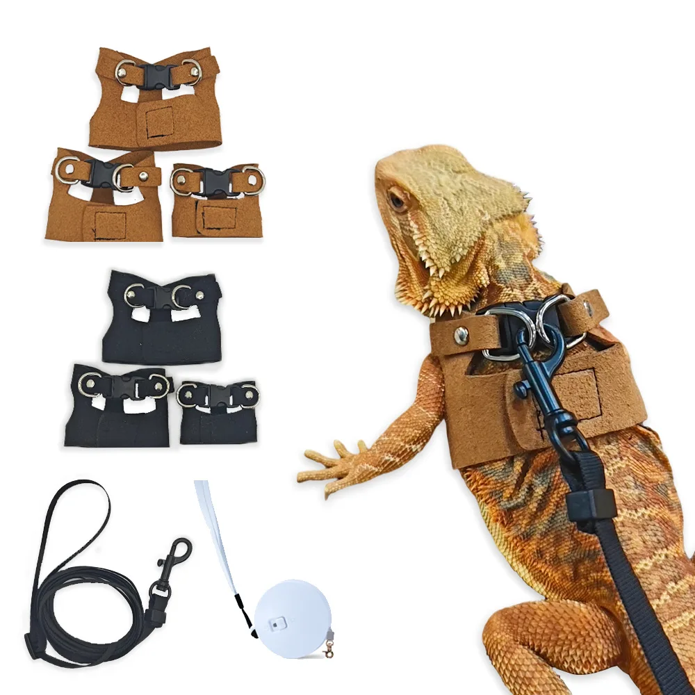 conjunto de coleira e guia para dragão barbudo
