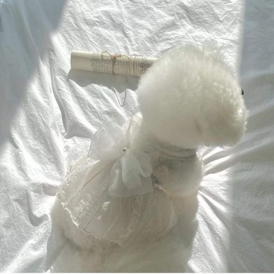 Vestido para Cães e Gatos Pequenos Branco para Casamento - Image 2
