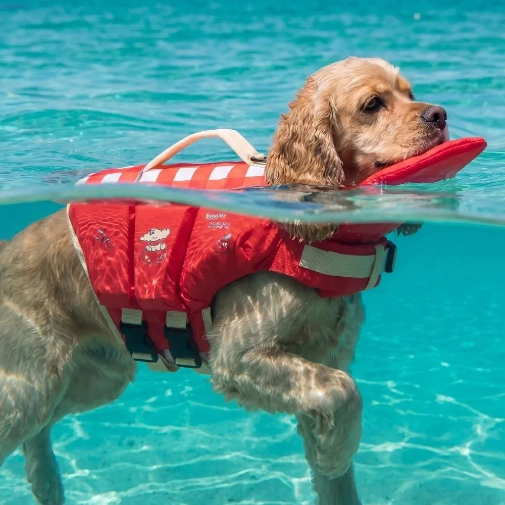 Colete Salva-Vidas para Cães Ajustável com Almofada de Esponja - Image 3